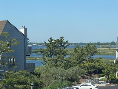 Riverviews from unit 46