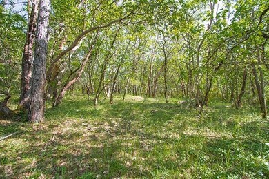 0 Hugo Rd, Grants Pass, OR 97526 - photo 6