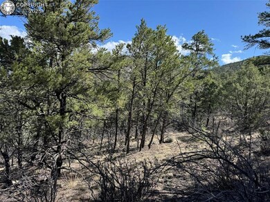TR-121 19th Trail, Cotopaxi, CO 81223 - photo 5