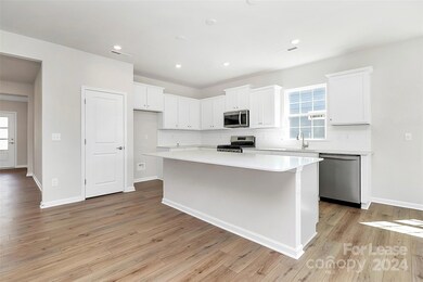 148 Pampas Place, Statesville, NC 28625 - photo 4