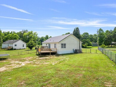 Back yard