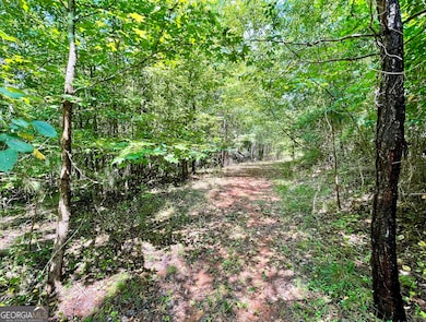 460 Welcome To Arnco Rd, Newnan, GA 30263 - photo 7