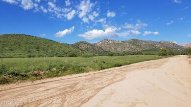 Newland & S. Palm Rd (6)