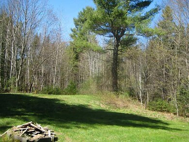 Yard/Garden.
