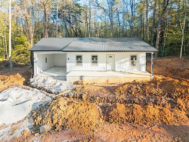 Pine Tree Circle Photo-10