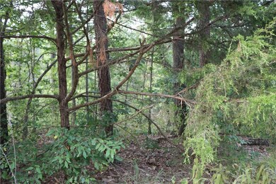 7 Bassingham Ln, Bella Vista, AR 72715 - photo 3