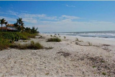 Beach View Looking North