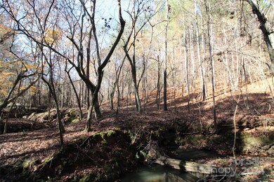 40+/- AC LOT 6 Hartness Rd, Clover, SC 29710 - photo 5