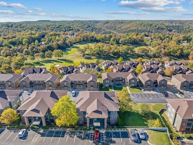 Drone 7 Par Ln 5 Branson West (1)