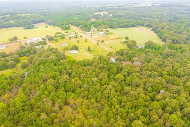 17802 Turner Cir, Tyler, TX 75704 - photo 7