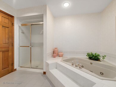 1008 Hamlet Rd, Naperville, IL 60564 - photo 5