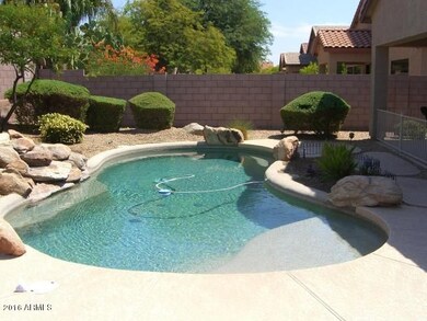 Jaeger Backyard