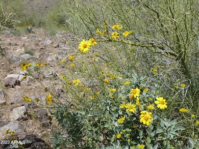 0XXXX N Columbia Mine (Lots A & B) Trail unit 75, Morristown, AZ 85342 - photo 3