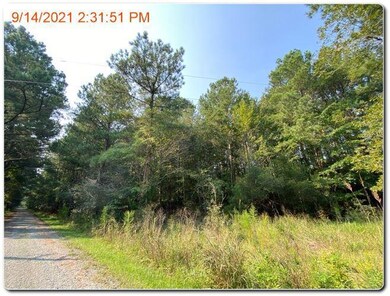 A-1/A-2 Holly Acres Ln unit A-1/2, Hacksneck, VA 23358 - photo 4