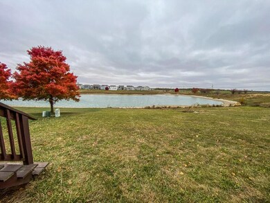 Pond