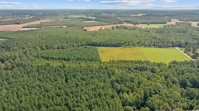 Lot 4 WoMacK Rd, Nichols, SC 29581 - photo 5