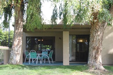 Back patio2