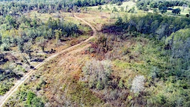 XX6 John Marsh Rd, Bonifay, FL 32425 - photo 3