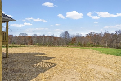 5445 Window Cliff Rd, Baxter, TN 38544 - photo 5