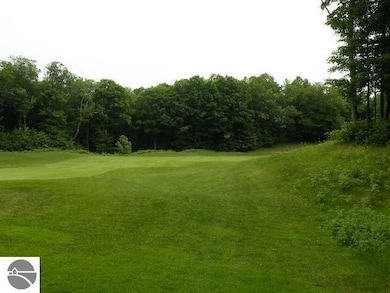 71 Broadwinged Way, Bellaire, MI 49615 - photo 5