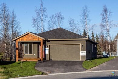 8031GrayhawkCir(1of16)