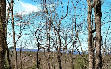 Additional View