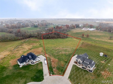 4650 Wyatt Way, Aviston, IL 62293 - photo 4