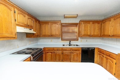 17 Oak Creek Dr, Conway, AR 72032 - photo 4