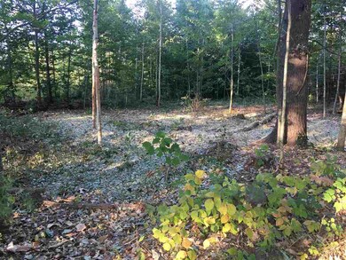 TBD Willey Rd, Brookfield, NH 03872 - photo 2