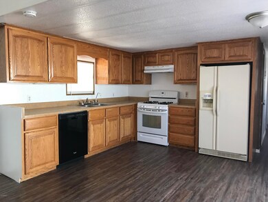 Raised Panel Maple Cabinets
