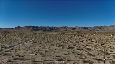 747 Joshua Tree Rd, Landers, CA 92285 - photo 3