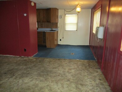 920 N Hudson St SE, Lowell, MI 49331 - photo 7