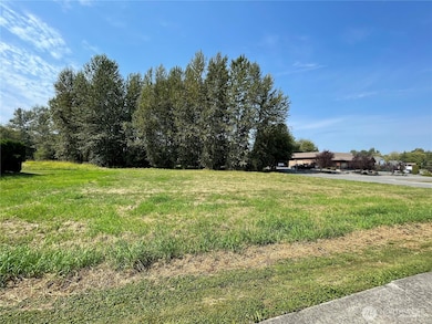 3536 Jay Way, Mount Vernon, WA 98273 - photo 5