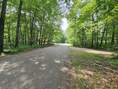 ON Marie Ln, Minocqua, WI 54548 - photo 3