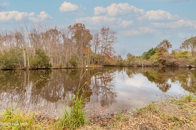 122 Montpelier Dr, Edenton, NC 27932 - photo 3