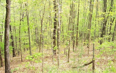 Additional View