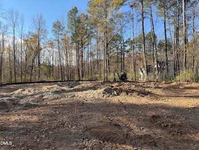 4025 Hamlets Chapel Rd, Pittsboro, NC 27312 - photo 2