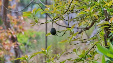 32515 Couser Canyon Rd, Valley Center, CA 92082 - photo 2