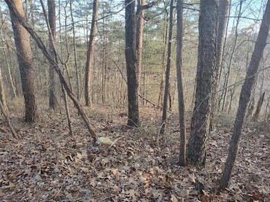 View of nature