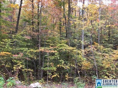 853 Pine Mountain Rd unit 1 Lot, Remlap, AL 35133 - photo 3