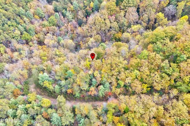 Lots 1 2 3 Timber Grove Rd, Sevierville, TN 37862 - photo 7