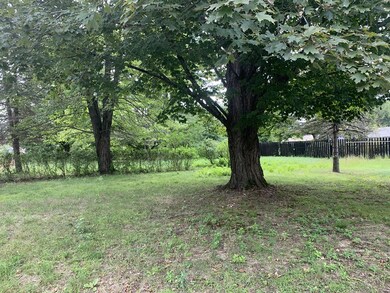 12 Carlisle Ave, Turners Falls, MA 01376 - photo 5