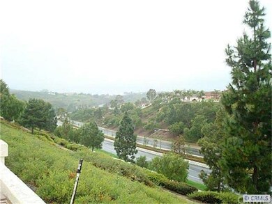 View from the back yard.