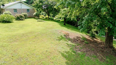 0 Laurel St, Weber City, VA 24290 - photo 6