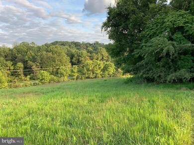 0 FT Valley Rd. Francis Thorton Valley Rd, Sperryville, VA - photo 4