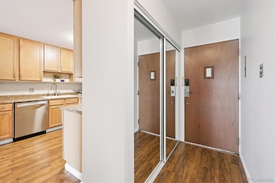 Front Entry and Coat Closet/Mirror Closet Doors