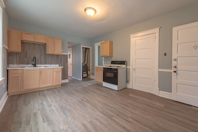 4311 S Wood St, Chicago, IL 60609 - photo 2