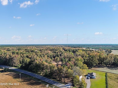 Lot D US Highway 117 Bypass S, Burgaw, NC 28425 - photo 4