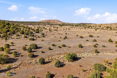 00 Tbd, Greer, AZ 85927 - photo 7