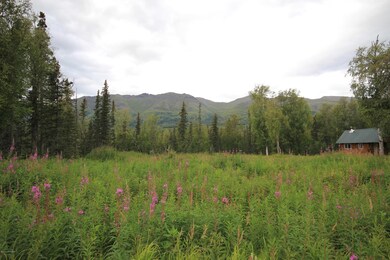 mountain views from ridge